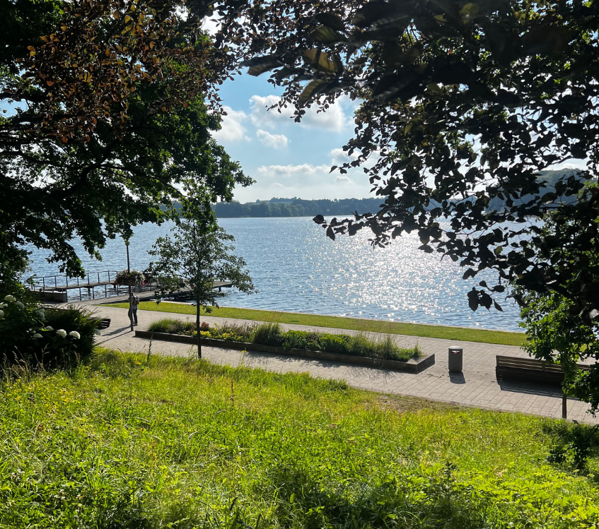 Blick auf den großen Segeberger See, die Promenade und einige grüne Bäume rundherum. 